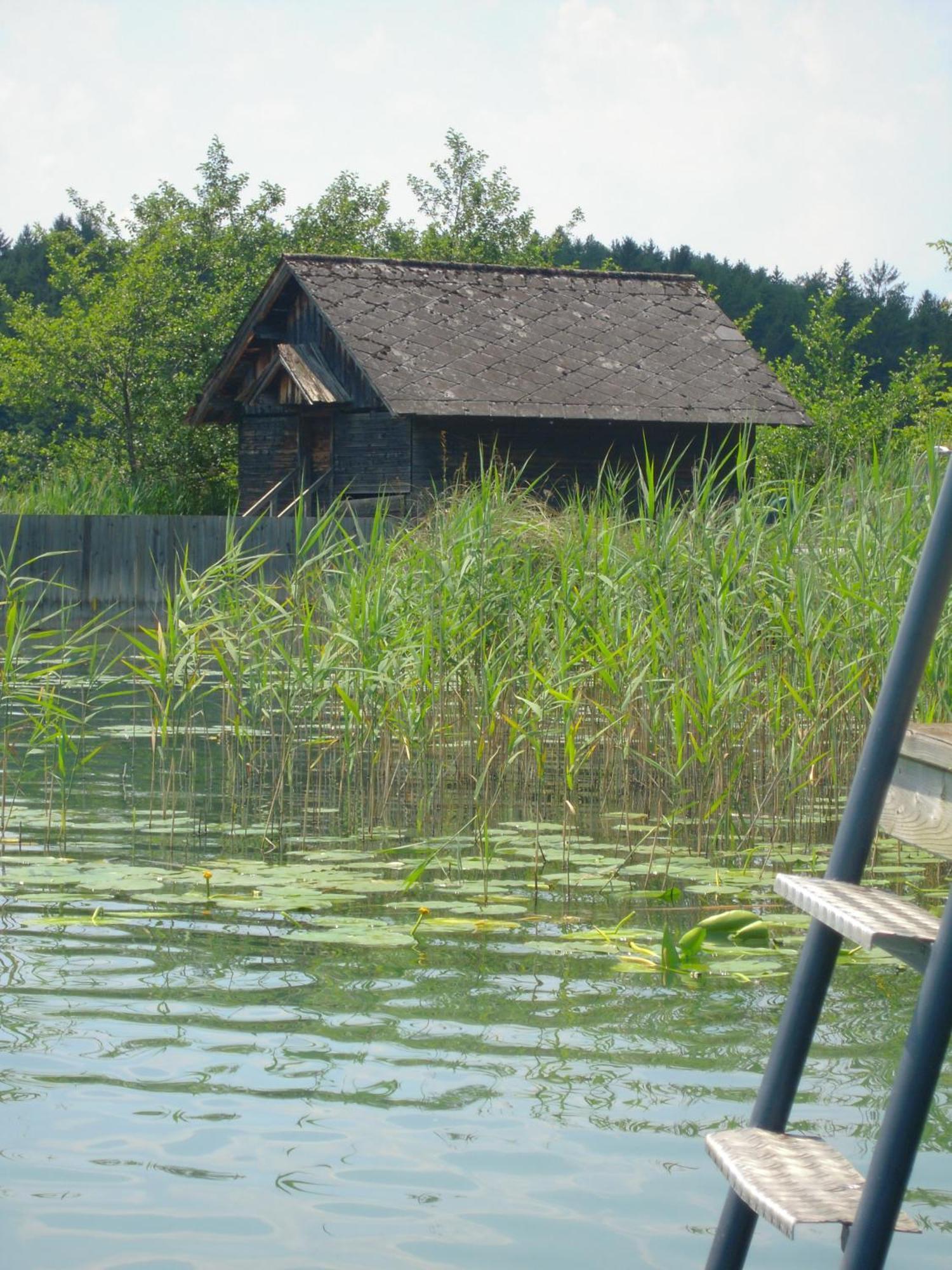 Seehotel Ressmann Drobollach am Faakersee Eksteriør billede